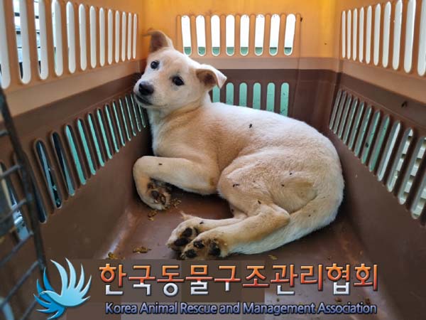 한국동물구조관리협회_441406202401152